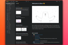 I Wish Bear Hadn’t Wasted Years